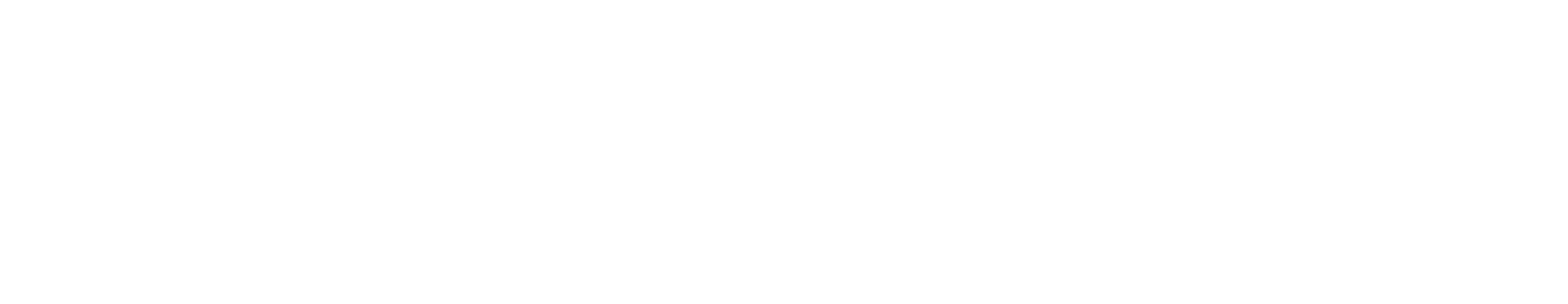 Boston SoftDesign