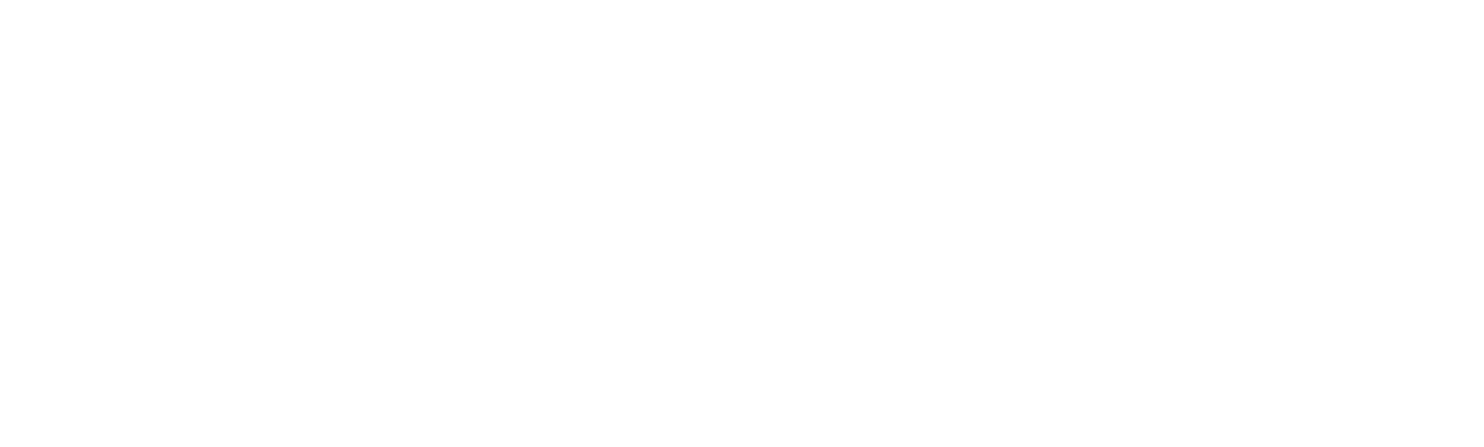 NetSuite